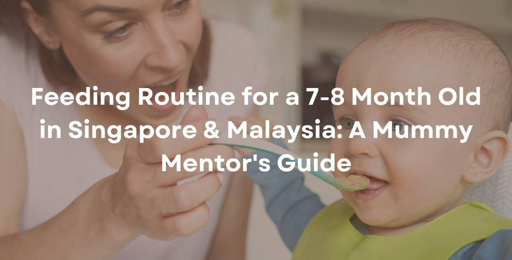 Feeding Routine for a 7-8 Month Old in Singapore & Malaysia: A Mummy Mentor's Guide