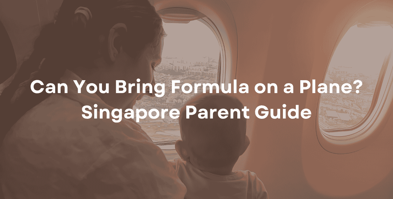 Can You Bring Formula on a Plane Singapore Parent Guide