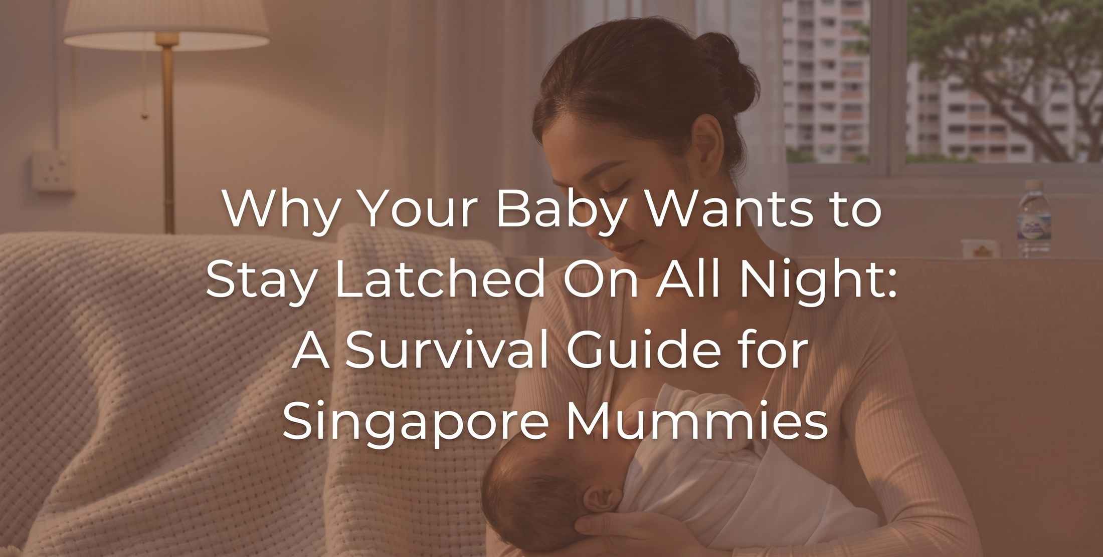 Why Your Baby Wants to Stay Latched On All Night A Survival Guide for Singapore Mummies