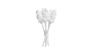 Tongue Cleaner